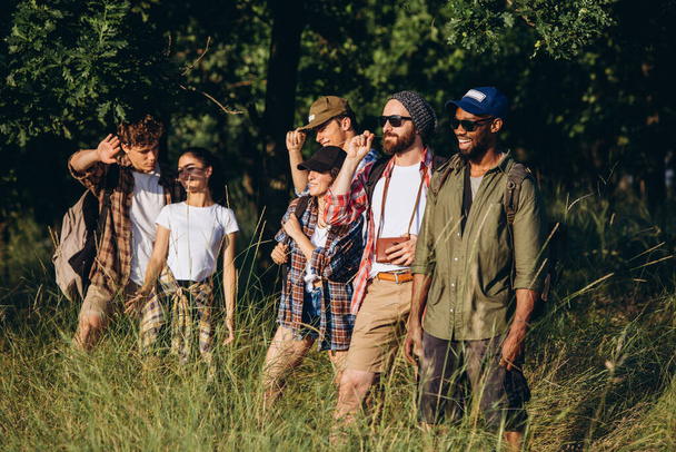 Meet sunset. Group of friends, young men and women walking, strolling together during picnic in summer forest, meadow. Lifestyle, friendship, - Valokuva, kuva