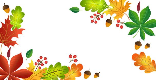Realistic autumn foliage, white background with space for text - illustration - Fotografie, Obrázek