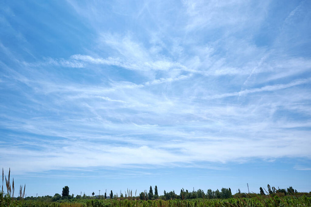 Petite couverture nuageuse par une journée ensoleillée avec un horizon de champ - Photo, image