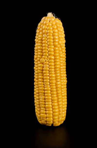 Kachan érett kukorica, héj nélkül, közelkép tükröződik a fekete háttér - Fotó, kép