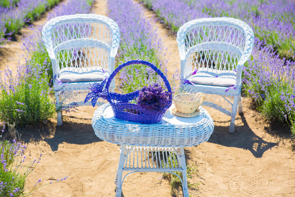 Lavendelstrauß in Korb auf weißem Holztisch mit Dekoration. Zwei weiße Stühle in wunderschönen lila Lavendelblüten auf dem Sommerfeld. Warmes und inspirierendes Konzept. Fernweh und Reisen. - Foto, Bild