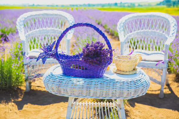 Lavender bouquet in basket on white wooden table with decoration. Two white chairs in Beautiful purple lavender flowers on the summer field. Warm and inspiration concept. Wanderlust and traveling. - Photo, Image