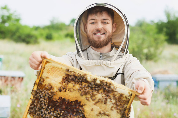 Beekeeper with honey frame at apiary - Valokuva, kuva