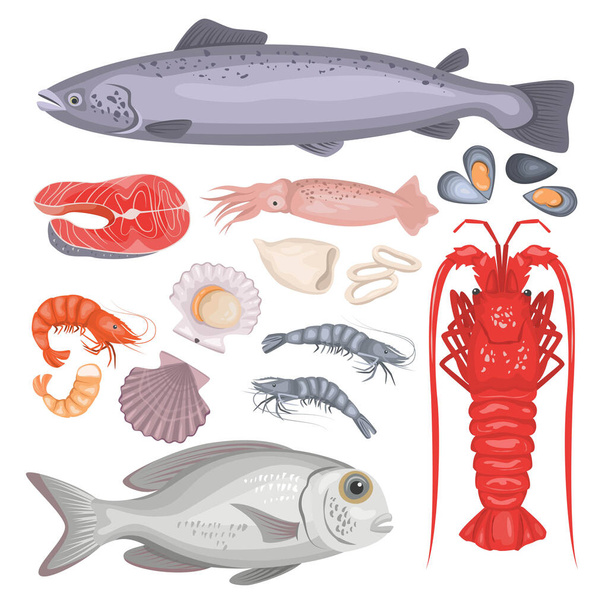 Set of seafood in cartoon style: fish, lobster, shrimp, squid, mussels, scallops. Vector illustration. - Vector, Imagen