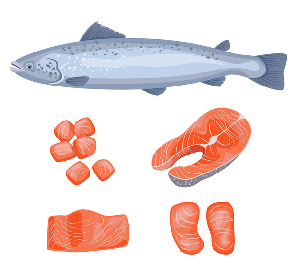 Salmon fish, salmon steak, fish steak on white background, seafood. Vector illustration. - Vector, Image