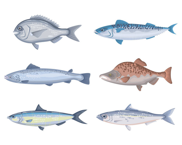 Set of different cartoon fish on a white background. Seafood collection. Vector illustration. - Vector, imagen