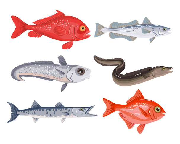 Ensemble de différents poissons de dessin animé sur fond blanc. Collection de fruits de mer. Illustration vectorielle. - Vecteur, image