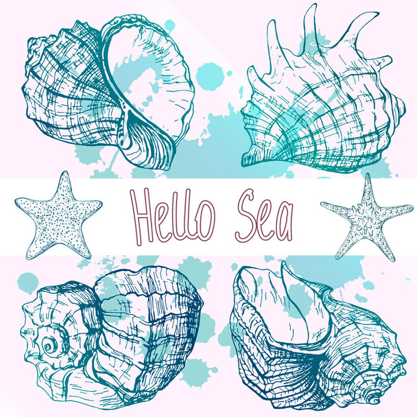 Vector illustrations of seashells, starfish. Marine set. Perfect for invitations, greeting cards, postcard, posters, prints, banners. All elements are isolated and editable. - Vector, Image