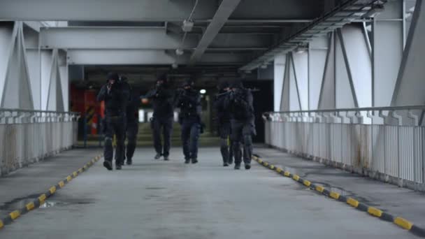 Офицеры спецназа с современными винтовками защищают городское здание от террористов - Кадры, видео
