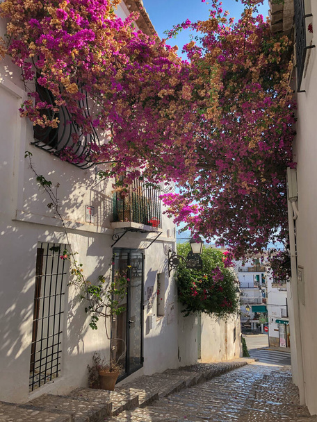 A natural view of pink bougainvillea flowers on the walls in the Town of Altea, Spain - Foto, Imagen