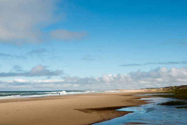A beautiful shot of sunny empty beach - Foto, immagini