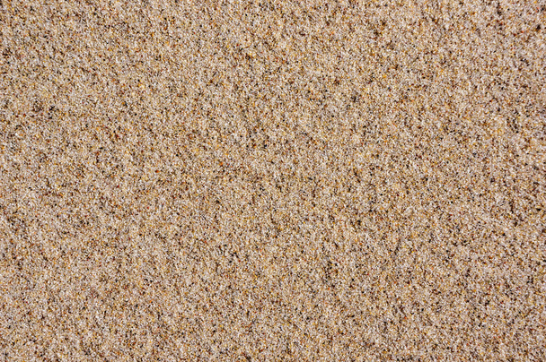 砂のテクスチャです。バルト海のビーチで砂します。. - 写真・画像