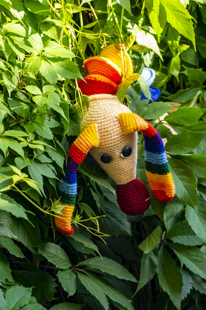 Bambola Amigurumi bassotto arcobaleno posa per un fotografo in giardino in estate. - Foto, immagini