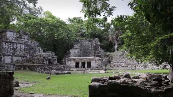 Maják romjai Palenque-ben, Mexikóban. - Felvétel, videó