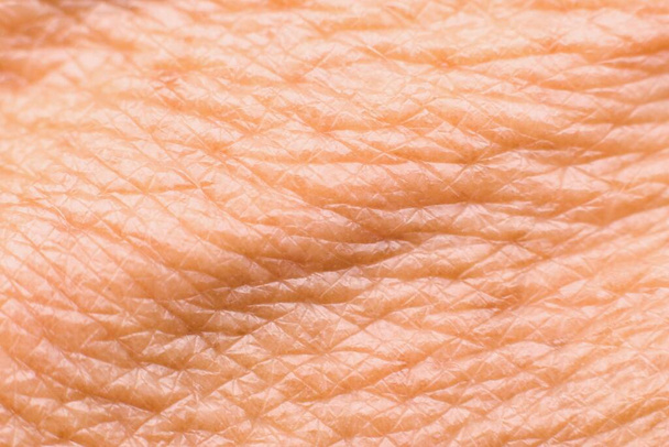 Gedetailleerde textuur van de verouderende droge menselijke huid - Foto, afbeelding
