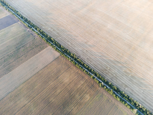 Campo de trigo branco com uma estrada e árvores perto dele - Foto, Imagem