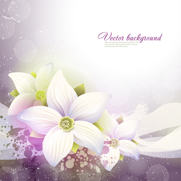 Vector Floral background for design - Vector, Image