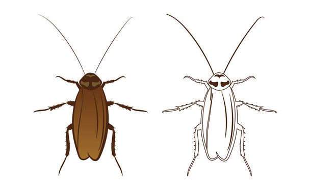 Cockroach or Blattodea Vector Illustration Fill and Outline Isolated on White Background. Insects Bugs Worms Pest and Flies. Entomology or Pest Control Business graphic elements. - Vector, Image
