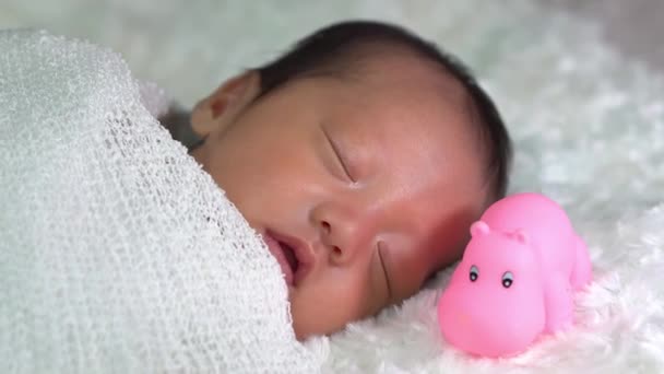 カバのゴム製のおもちゃの横に新生児の睡眠。家族愛の概念 - 映像、動画