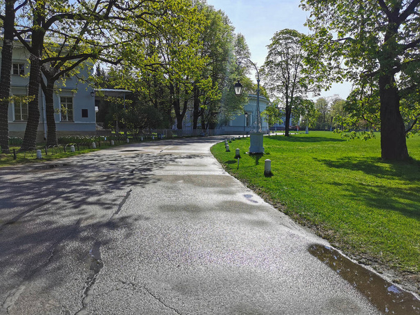 Une route déserte entre les arbres, les pavillons et les lanternes, le matin dans un parc sur l'île Elagin à Saint-Pétersbourg. - Photo, image