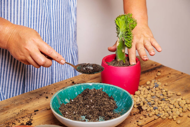 A woman puts soil into a new ceramic pot with a transplanted flower. Houseplant transplant concept. - Fotografie, Obrázek