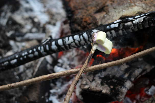 Lagerfeuer mit Marshmallows - Foto, Bild