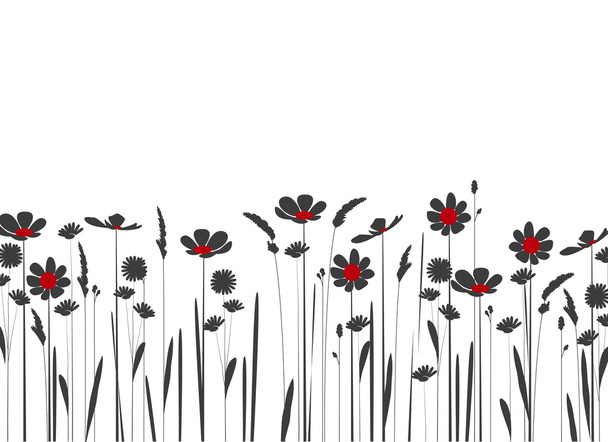 Полевые цветы
 - Вектор,изображение