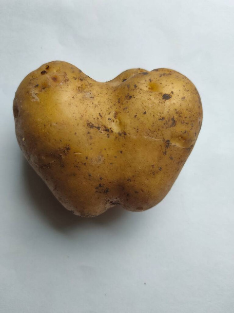  tubercule de pomme de terre en forme de cœur sur fond blanc  - Photo, image