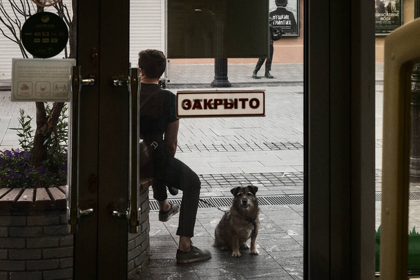 Dog is waiting near closed door - 写真・画像
