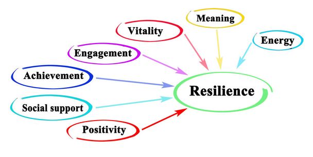 Seven drivers of resilience - Photo, Image