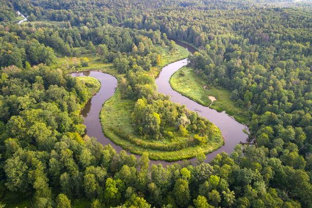 La rivière West Biarezina dans la forêt de Naliboki - Photo, image