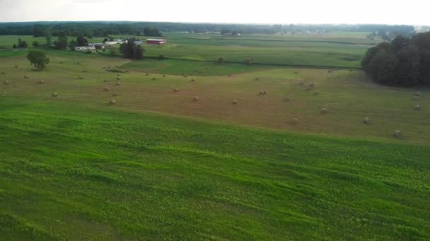 Widok z lotu ptaka na pola uprawne z okrągłymi belami siana - Materiał filmowy, wideo