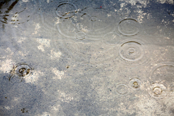 Шторм дождя. Дождь. Дождь капает в луже. Капли дождя и брызги проливного дождя. Мужчина стоит снаружи под проливным дождем в синем дождевом пальто и с прозрачным зонтиком. Шланг, прикрепленный к сточной канаве дома, чтобы отвлечь дождевую воду. - Фото, изображение