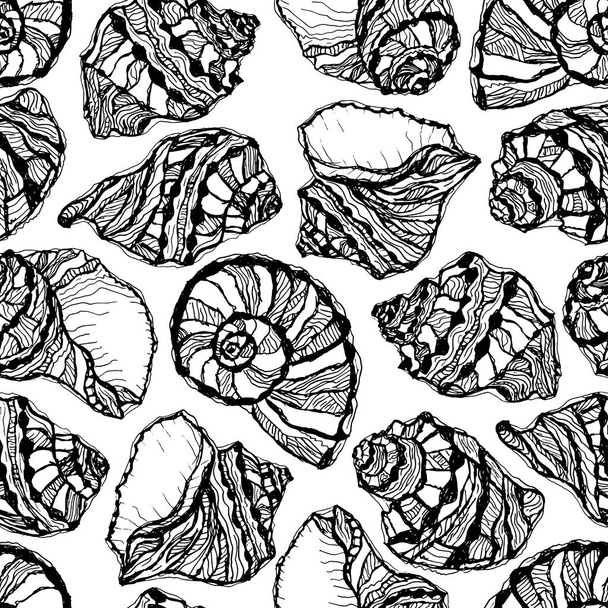 Vector illustratie van marine naadloos patroon. Met de hand getrokken schelpen. Kleurplaat boek. Schaalkokkels - Vector, afbeelding