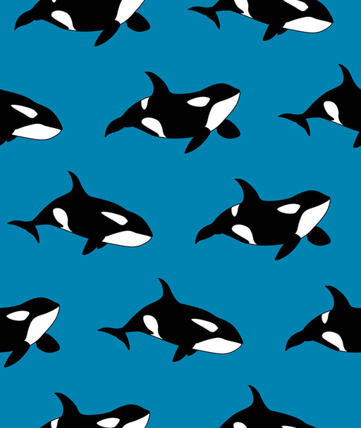 Vector seamless pattern of hand drawn killer whale swimming on blue background - Vector, Imagen
