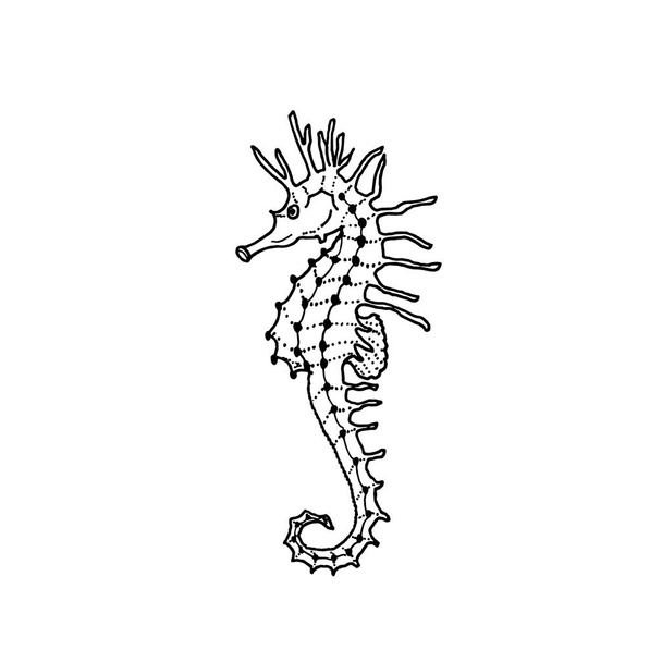 Ilustracja wektorowa sylwetki konika morskiego. Ręczny rysunek konika morskiego - Wektor, obraz