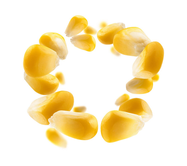 Grãos de milho maduros levitar sobre um fundo branco - Foto, Imagem
