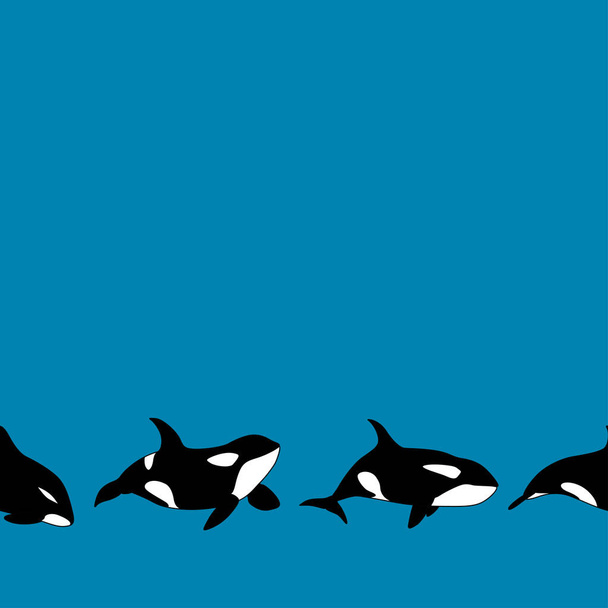 Vector seamless border of graphical killer whale swimming on blue background. Orca background - Vector, Image