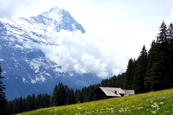Cottage in de bergen - Foto, afbeelding