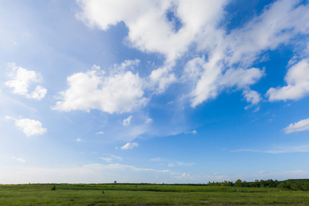 Campo verde bajo el cielo azul. naturaleza fondo - Foto, imagen