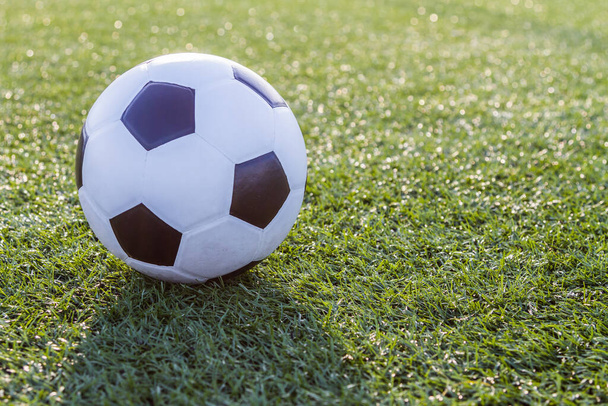 Soccer football on green grass background - Photo, Image