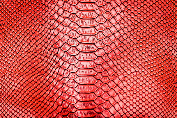 Текстура кожи красной змеи - Фото, изображение