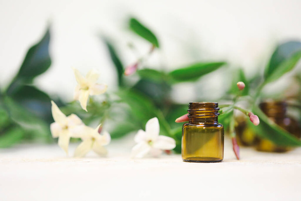 essential oil with fresh flowers and leaves - Φωτογραφία, εικόνα