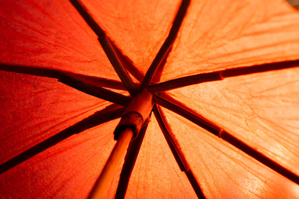 An umbrella from inside with light going through it - Zdjęcie, obraz