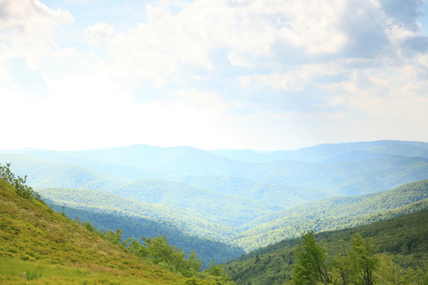 Green mountain landscape in the summer - Фото, изображение
