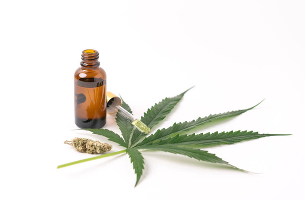 Extractos de aceite de cannabis en frascos y hojas de cannabis verde, marihuana aislada sobre fondo blanco. Cultivo de marihuana medicinal y herbácea. - Foto, imagen