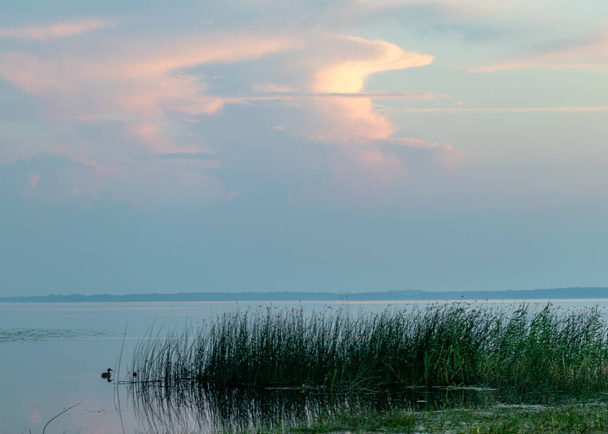 мирный летний пейзаж на берегу озера на рассвете, цвета в небе до восхода солнца, озеро Буртниеки, Латвия - Фото, изображение