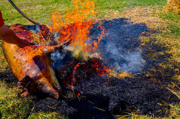 Os açougueiros estão queimando uma pilha de palha para remover o cabelo da pele do porco no açougue ao ar livre. - Foto, Imagem