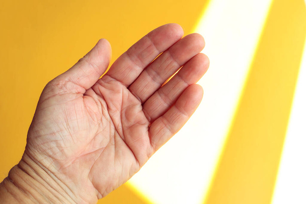 The concept of predicting a person's fate along the lines of life. The hand of an elderly woman on a yellow background, top view, close-up. - Foto, immagini