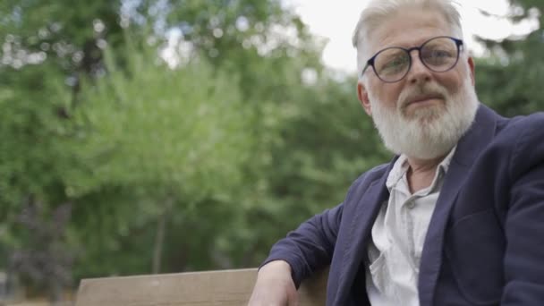 un anziano pensionato con i capelli grigi e una barba alla moda anziano, uomo d'affari è felicemente seduto sulla strada - Filmati, video